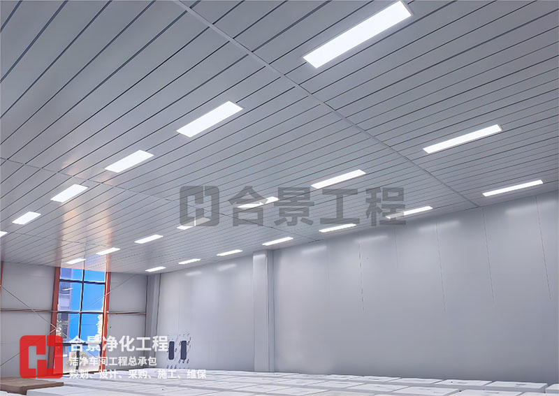 鋰電池?zé)o塵車(chē)間廠(chǎng)房建設(shè) 鋰電池?zé)o塵車(chē)間廠(chǎng)房建設(shè)